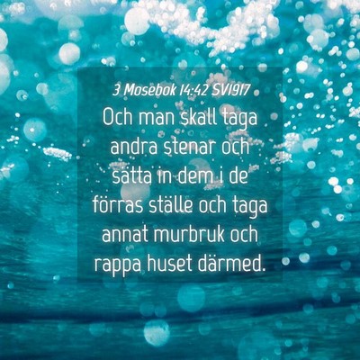 Picture 04 - 3 Mosebok 14:42 SV1917 - Och man skall taga andra stenar och sätta in dem - Bible Verse Picture