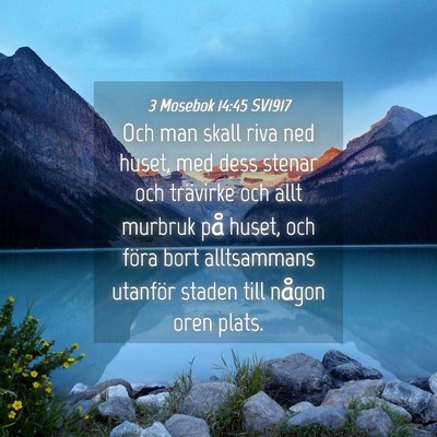 Picture 04 - 3 Mosebok 14:45 SV1917 - Och man skall riva ned huset, med dess stenar och - Bible Verse Picture