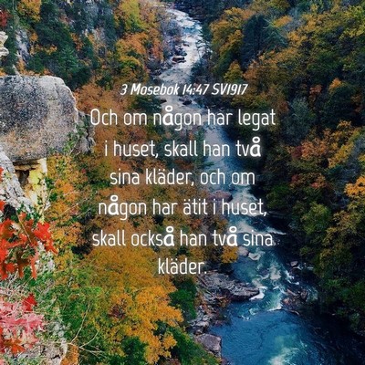 Picture 04 - 3 Mosebok 14:47 SV1917 - Och om någon har legat i huset, skall han två - Bible Verse Picture