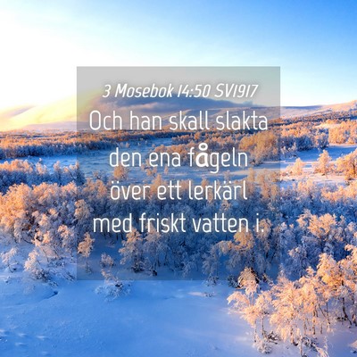 Picture 04 - 3 Mosebok 14:50 SV1917 - Och han skall slakta den ena fågeln över ett - Bible Verse Picture