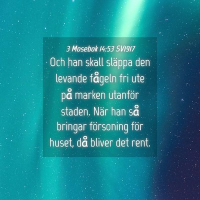 Picture 04 - 3 Mosebok 14:53 SV1917 - Och han skall släppa den levande fågeln fri ute - Bible Verse Picture