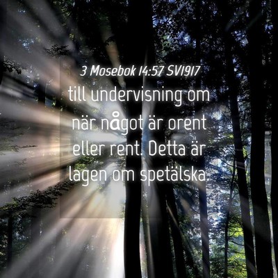 Picture 04 - 3 Mosebok 14:57 SV1917 - till undervisning om när något är orent eller - Bible Verse Picture