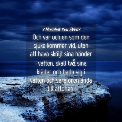 Picture 04 - 3 Mosebok 15:11 SV1917 - Och var och en som den sjuke kommer vid, utan att - Bible Verse Picture