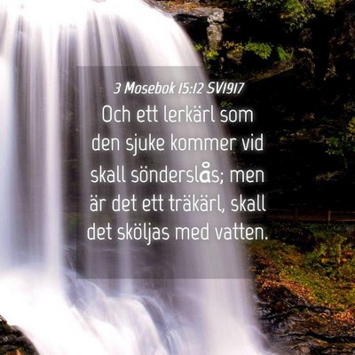 Picture 04 - 3 Mosebok 15:12 SV1917 - Och ett lerkärl som den sjuke kommer vid skall - Bible Verse Picture