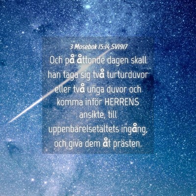 Picture 04 - 3 Mosebok 15:14 SV1917 - Och på åttonde dagen skall han taga sig två - Bible Verse Picture
