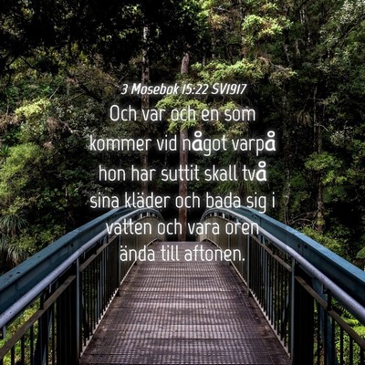 Picture 04 - 3 Mosebok 15:22 SV1917 - Och var och en som kommer vid något varpå hon - Bible Verse Picture