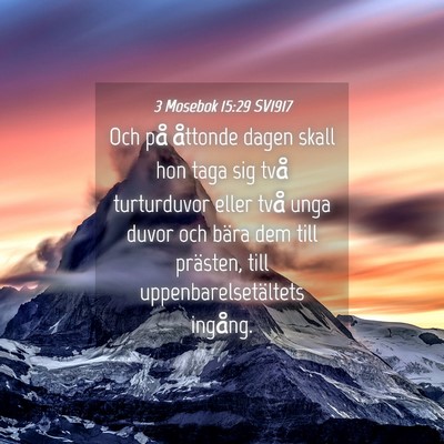 Picture 04 - 3 Mosebok 15:29 SV1917 - Och på åttonde dagen skall hon taga sig två - Bible Verse Picture