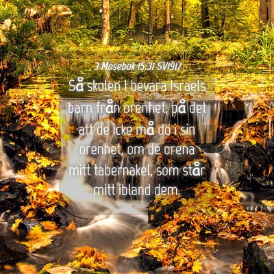 Picture 04 - 3 Mosebok 15:31 SV1917 - Så skolen I bevara Israels barn från orenhet, - Bible Verse Picture