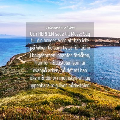 Picture 04 - 3 Mosebok 16:2 SV1917 - Och HERREN sade till Mose: Säg till din broder - Bible Verse Picture