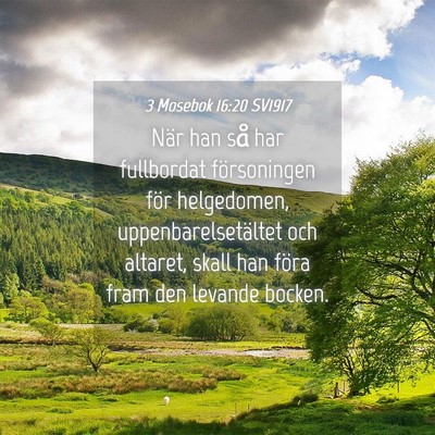 Picture 04 - 3 Mosebok 16:20 SV1917 - När han så har fullbordat försoningen för - Bible Verse Picture