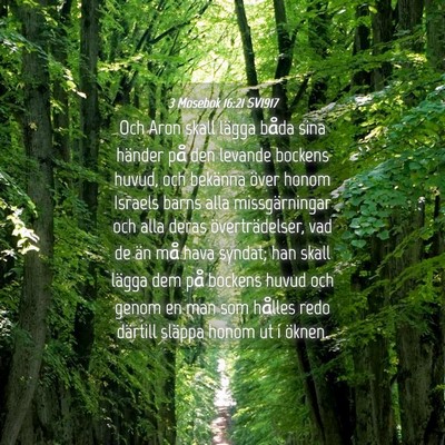Picture 04 - 3 Mosebok 16:21 SV1917 - Och Aron skall lägga båda sina händer på den - Bible Verse Picture
