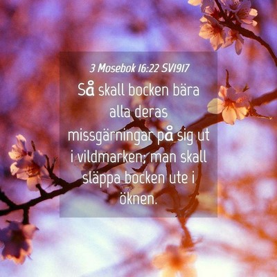 Picture 04 - 3 Mosebok 16:22 SV1917 - Så skall bocken bära alla deras missgärningar - Bible Verse Picture