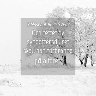 Picture 04 - 3 Mosebok 16:25 SV1917 - Och fettet av syndoffersdjuret skall han - Bible Verse Picture