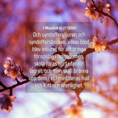 Picture 04 - 3 Mosebok 16:27 SV1917 - Och syndofferstjuren och syndoffersbocken, vilkas - Bible Verse Picture