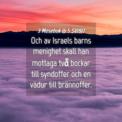 Picture 04 - 3 Mosebok 16:5 SV1917 - Och av Israels barns menighet skall han mottaga - Bible Verse Picture