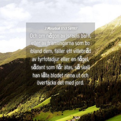 Picture 04 - 3 Mosebok 17:13 SV1917 - Och om någon av Israels barn, eller av - Bible Verse Picture