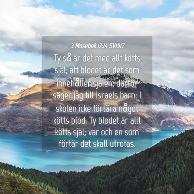 Picture 04 - 3 Mosebok 17:14 SV1917 - Ty så är det med allt kötts själ, att blodet - Bible Verse Picture