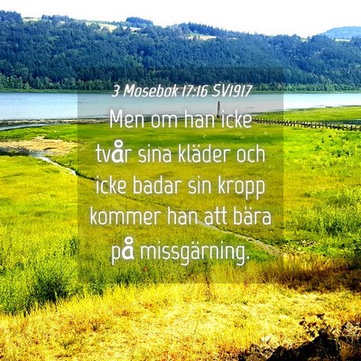Picture 04 - 3 Mosebok 17:16 SV1917 - Men om han icke tvår sina kläder och icke badar - Bible Verse Picture