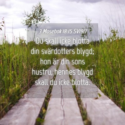 Picture 04 - 3 Mosebok 18:15 SV1917 - Du skall icke blotta din svärdotters blygd; hon - Bible Verse Picture