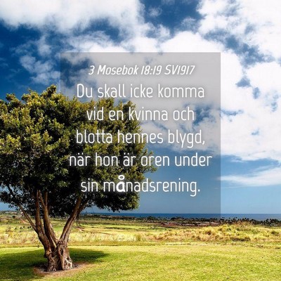 Picture 04 - 3 Mosebok 18:19 SV1917 - Du skall icke komma vid en kvinna och blotta - Bible Verse Picture