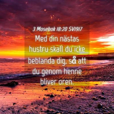 Picture 04 - 3 Mosebok 18:20 SV1917 - Med din nästas hustru skall du icke beblanda - Bible Verse Picture