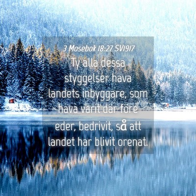Picture 04 - 3 Mosebok 18:27 SV1917 - Ty alla dessa styggelser hava landets inbyggare, - Bible Verse Picture