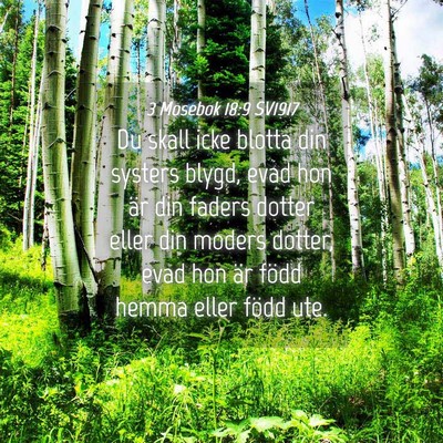 Picture 04 - 3 Mosebok 18:9 SV1917 - Du skall icke blotta din systers blygd, evad hon - Bible Verse Picture
