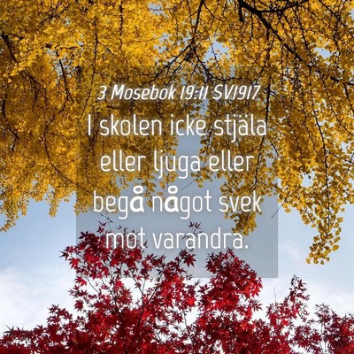 Picture 04 - 3 Mosebok 19:11 SV1917 - I skolen icke stjäla eller ljuga eller begå - Bible Verse Picture