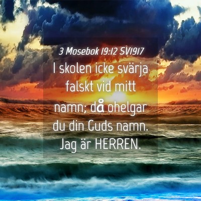 Picture 04 - 3 Mosebok 19:12 SV1917 - I skolen icke svärja falskt vid mitt namn; då - Bible Verse Picture