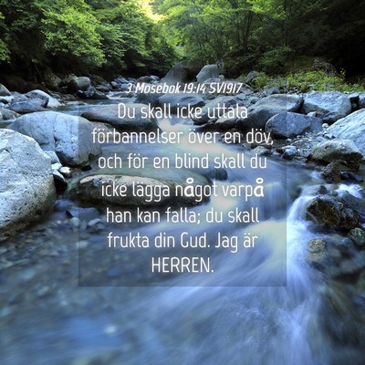 Picture 04 - 3 Mosebok 19:14 SV1917 - Du skall icke uttala förbannelser över en döv, - Bible Verse Picture