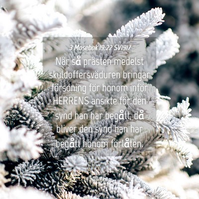 Picture 04 - 3 Mosebok 19:22 SV1917 - När så prästen medelst skuldoffersväduren - Bible Verse Picture