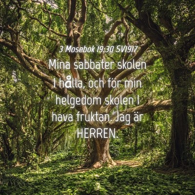Picture 04 - 3 Mosebok 19:30 SV1917 - Mina sabbater skolen I hålla, och för min - Bible Verse Picture