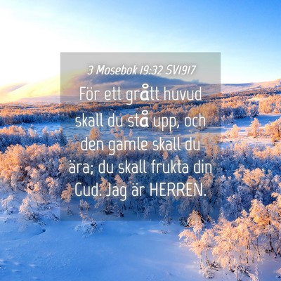 Picture 04 - 3 Mosebok 19:32 SV1917 - För ett grått huvud skall du stå upp, och den - Bible Verse Picture