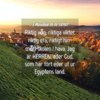 Picture 04 - 3 Mosebok 19:36 SV1917 - Riktig våg, riktiga vikter, riktig efa, riktigt - Bible Verse Picture