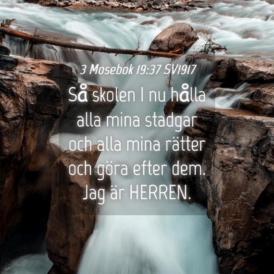 Picture 04 - 3 Mosebok 19:37 SV1917 - Så skolen I nu hålla alla mina stadgar och alla - Bible Verse Picture