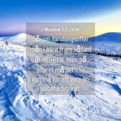 Picture 04 - 3 Mosebok 2:12 SV1917 - Såsom förstlingsoffer mån I bära fram sådant - Bible Verse Picture