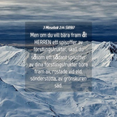 Picture 04 - 3 Mosebok 2:14 SV1917 - Men om du vill bära fram åt HERREN ett - Bible Verse Picture