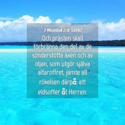 Picture 04 - 3 Mosebok 2:16 SV1917 - Och prästen skall förbränna den del av de - Bible Verse Picture