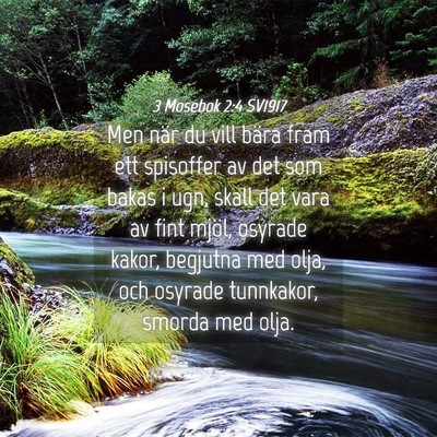 Picture 04 - 3 Mosebok 2:4 SV1917 - Men när du vill bära fram ett spisoffer av det - Bible Verse Picture