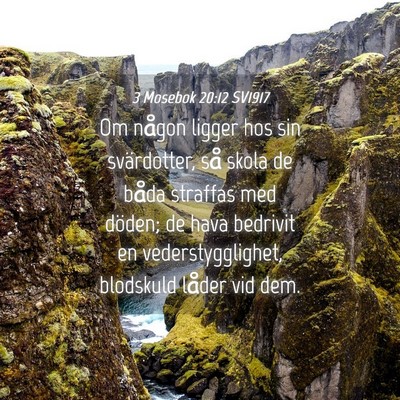 Picture 04 - 3 Mosebok 20:12 SV1917 - Om någon ligger hos sin svärdotter, så skola - Bible Verse Picture