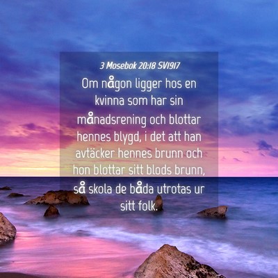 Picture 04 - 3 Mosebok 20:18 SV1917 - Om någon ligger hos en kvinna som har sin - Bible Verse Picture