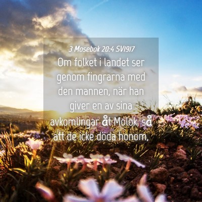Picture 04 - 3 Mosebok 20:4 SV1917 - Om folket i landet ser genom fingrarna med den - Bible Verse Picture