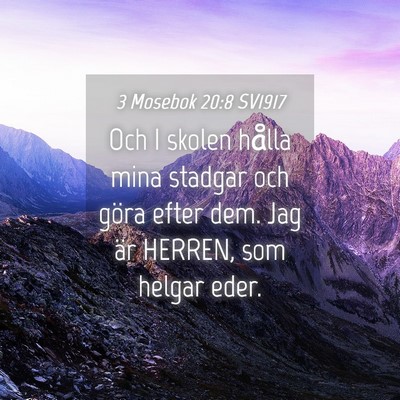 Picture 04 - 3 Mosebok 20:8 SV1917 - Och I skolen hålla mina stadgar och göra efter - Bible Verse Picture