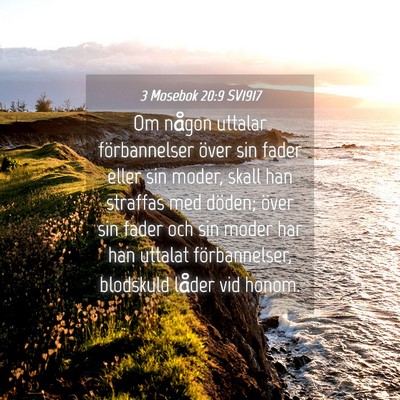 Picture 04 - 3 Mosebok 20:9 SV1917 - Om någon uttalar förbannelser över sin fader - Bible Verse Picture