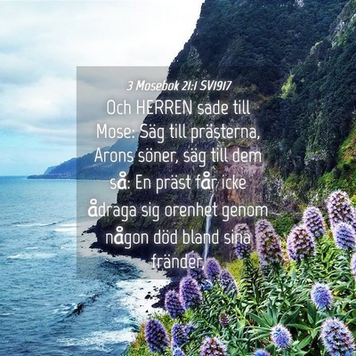 Picture 04 - 3 Mosebok 21:1 SV1917 - Och HERREN sade till Mose: Säg till prästerna, - Bible Verse Picture