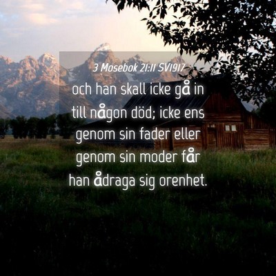 Picture 04 - 3 Mosebok 21:11 SV1917 - och han skall icke gå in till någon död; icke - Bible Verse Picture