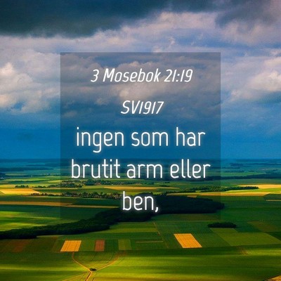 Picture 04 - 3 Mosebok 21:19 SV1917 - ingen som har brutit arm eller - Bible Verse Picture