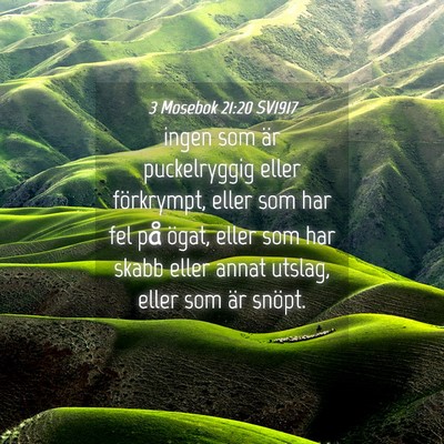 Picture 04 - 3 Mosebok 21:20 SV1917 - ingen som är puckelryggig eller förkrympt, - Bible Verse Picture