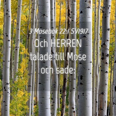 Picture 04 - 3 Mosebok 22:1 SV1917 - Och HERREN talade till Mose och - Bible Verse Picture
