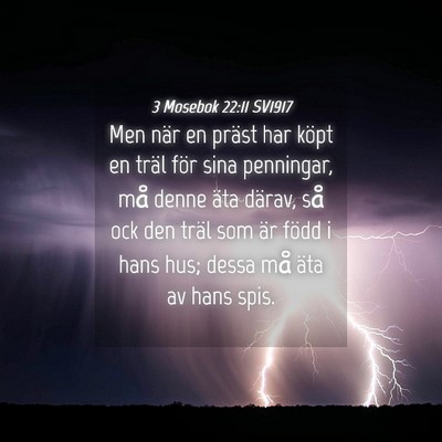Picture 04 - 3 Mosebok 22:11 SV1917 - Men när en präst har köpt en träl för sina - Bible Verse Picture